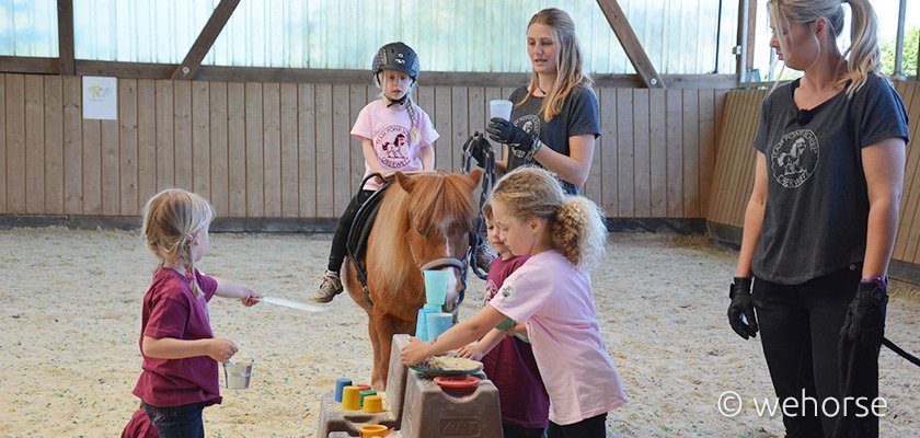 Ab Wann Kann Man Ein Pferd Reiten - information online