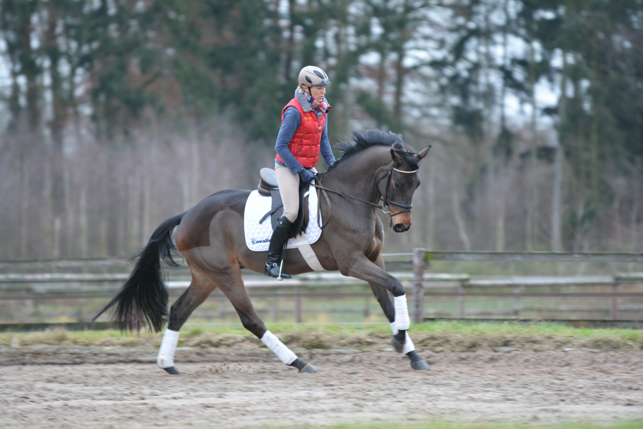 Anlehnung beim Reiten? Was genau ist sie und wie soll sie aussehen?