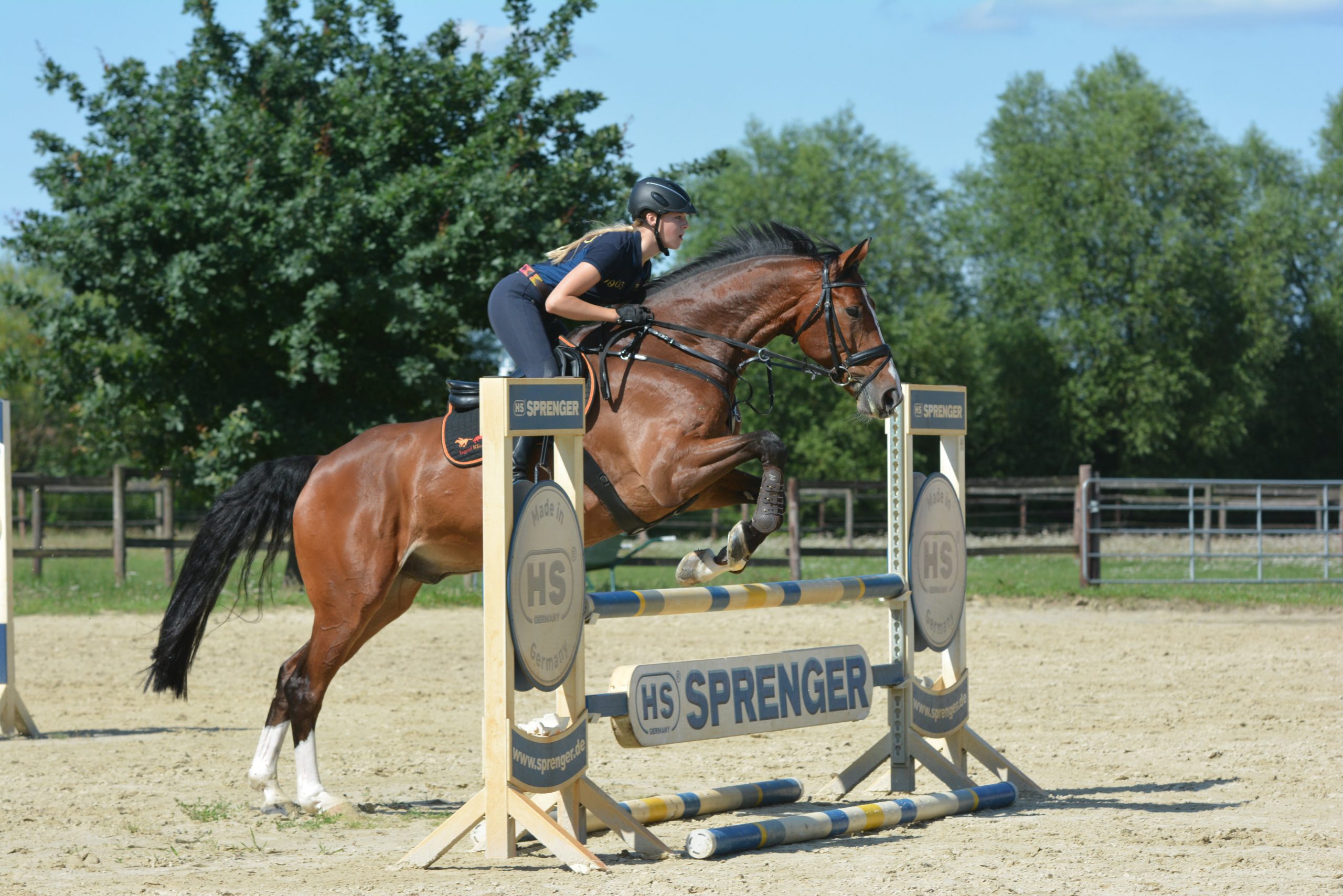Ready for showjumping? Those jumping exercises are great for your horse!