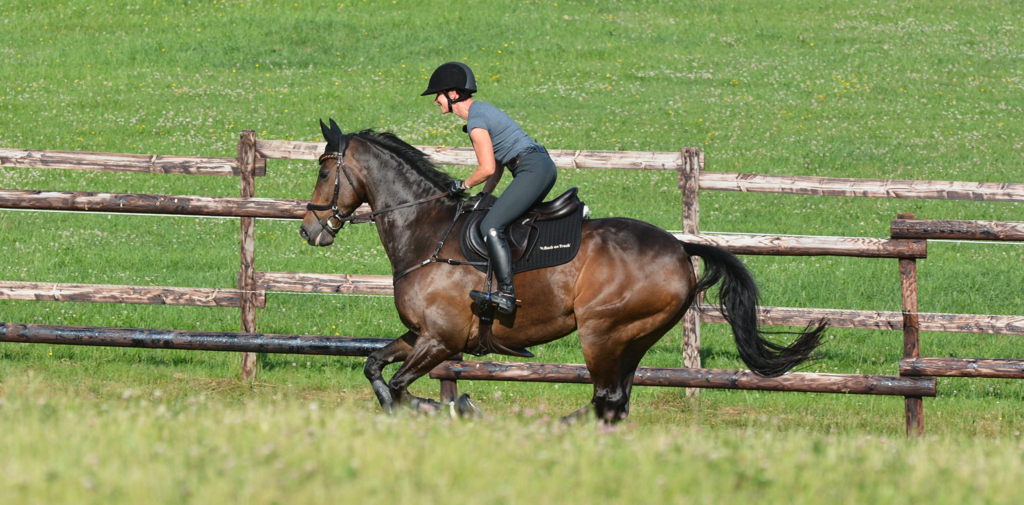 Our top training tips for clearing the cross country jumps!