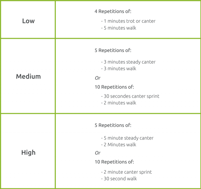 interval-training-for-horses-the-ultimate-guide